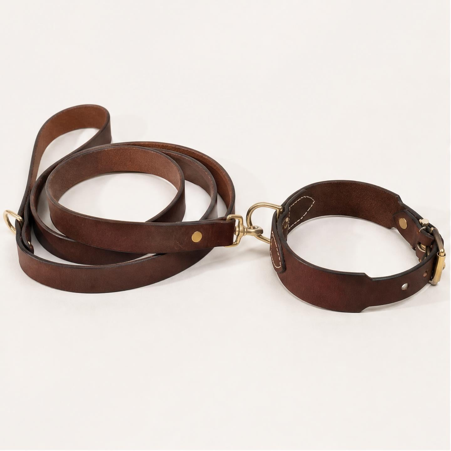 Dog Collar & Leash