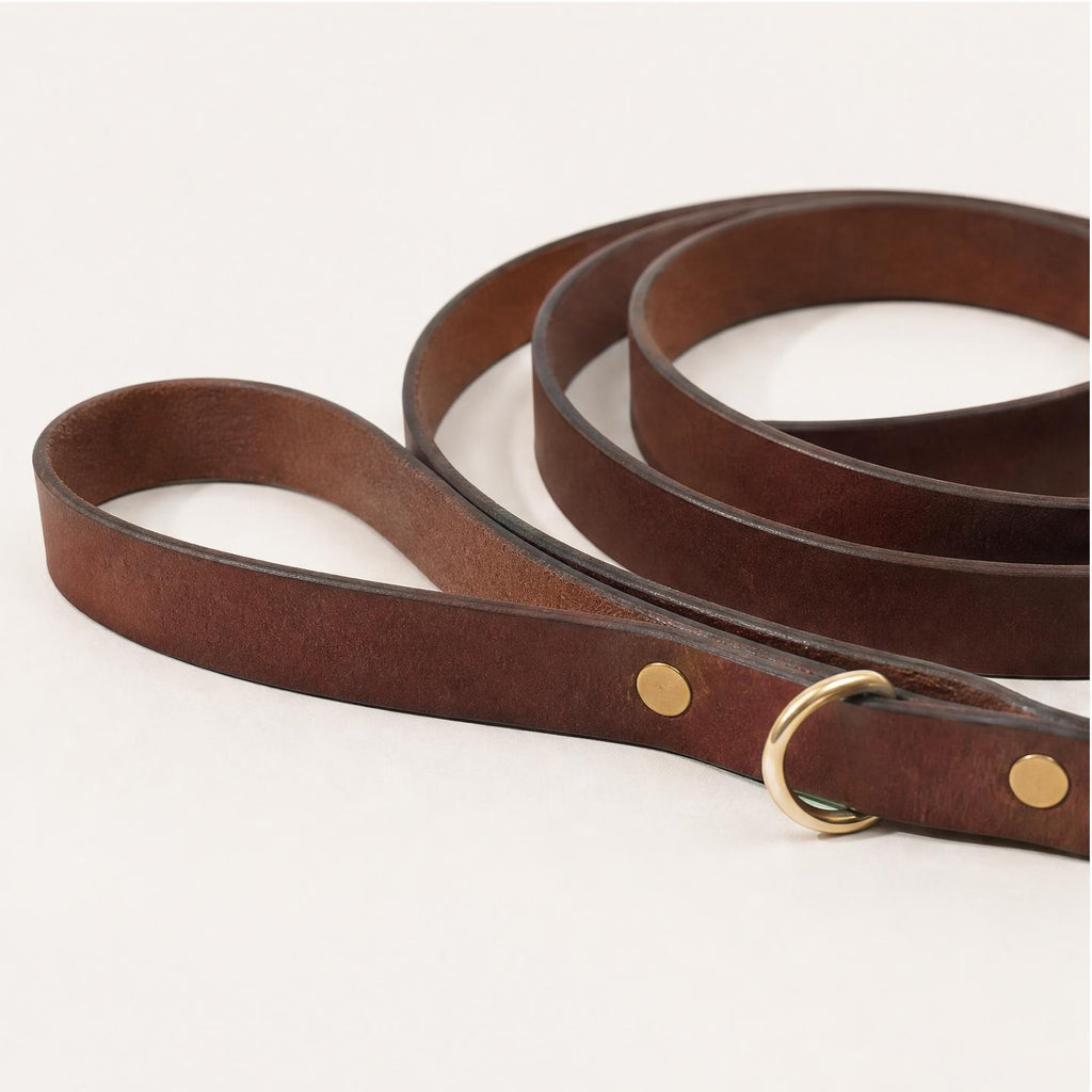Dog Collar & Leash