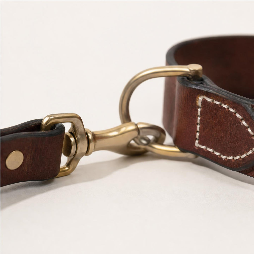 Dog Collar & Leash