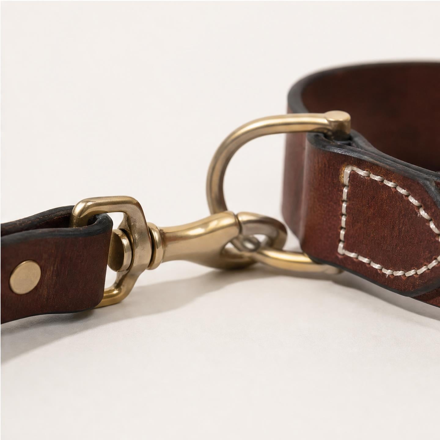 Dog Collar & Leash